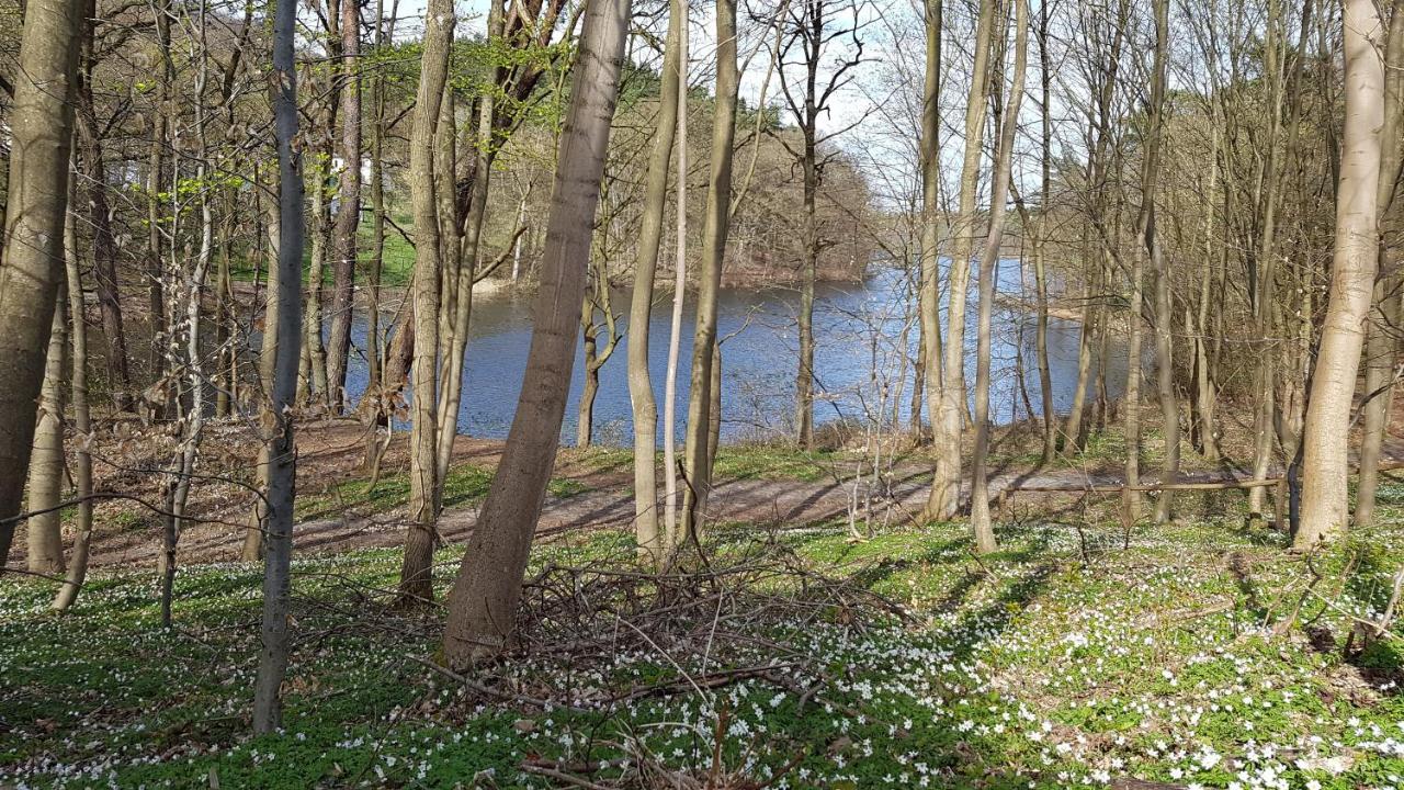 Niebieski Zakatek Ferienhaus Wisełka