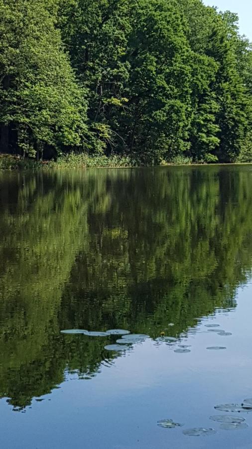 Niebieski Zakatek Ferienhaus *